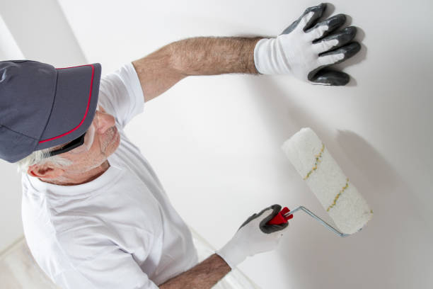 Best Emergency Mold Remediation  in Lansing, MI