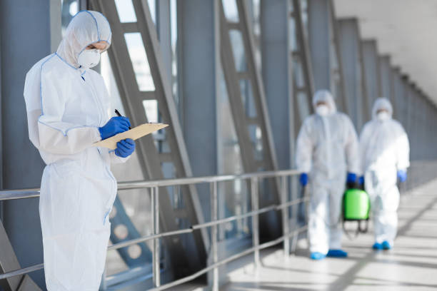 Best Mold Remediation for Rental Properties  in Lansing, MI