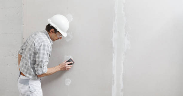 Best Post-Construction Mold Inspection  in Lansing, MI