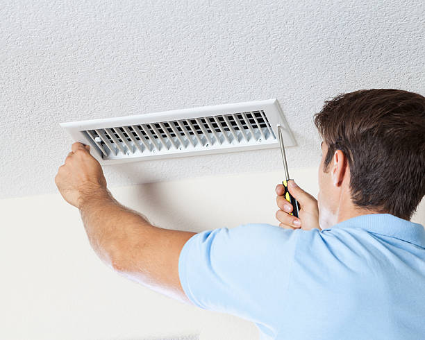  Lansing, MI Mold Removal Pros