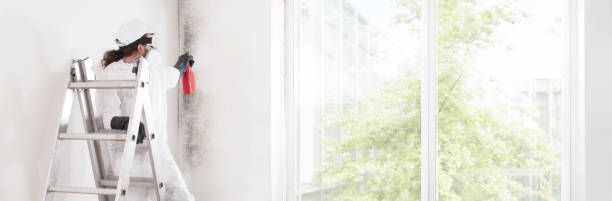 Mold Removal for HVAC Installations in Lansing, MI