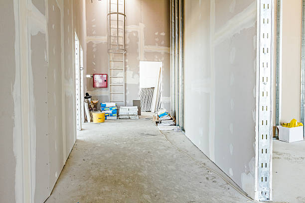 Best Mold Remediation for Healthcare Facilities  in Lansing, MI